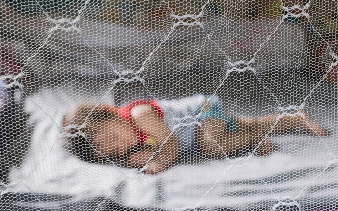 Surge in Malaria as Climate Change Fuels Regional Outbreaks