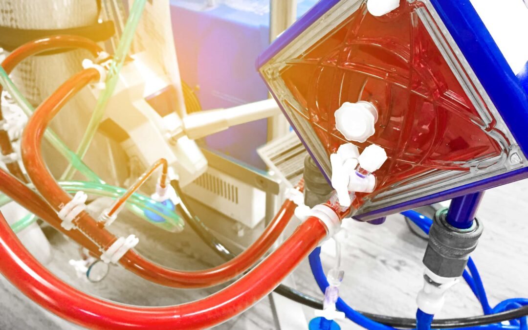 Liver Perfusion Machine Boosts South Africa's Transplant Care